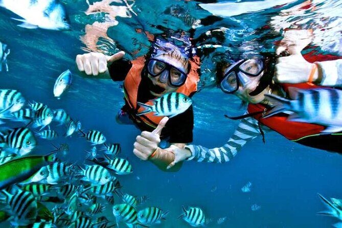 Day Tour to Snorkeling Trip to Giftun Island in Egypt - Who Should Book This Tour?