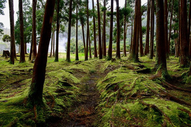 day-tour-to-the-amazing-sete-cidades