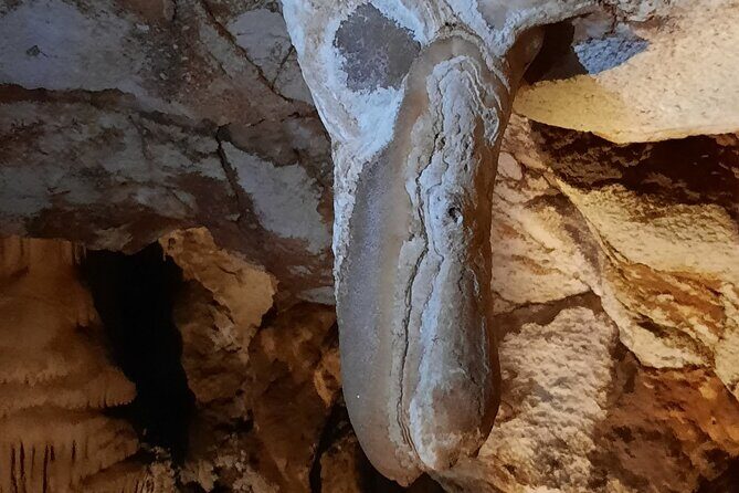 Day tour to the Natural wonders Belogradchik Rocks & Venetsa cave - FAQ