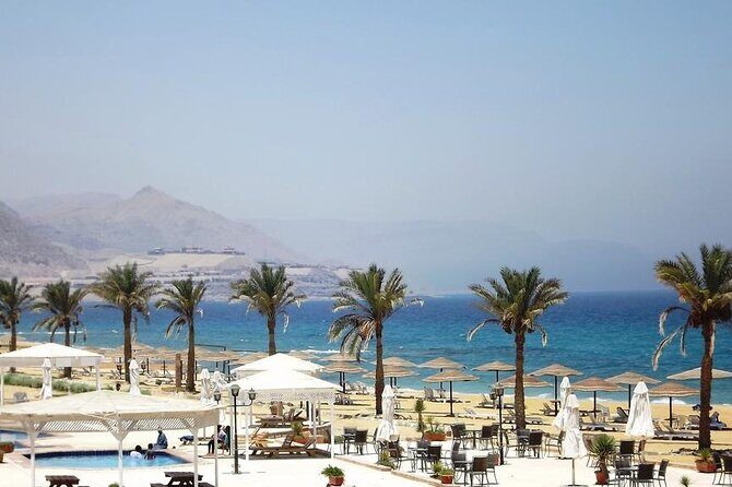 Day tour to the Red Sea Ain Sukhna from Cairo - Key Points