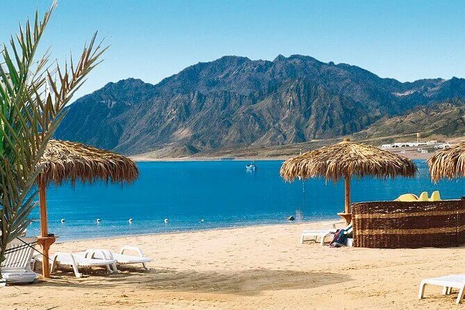 Day tour to the Red Sea Ain Sukhna from Cairo - The Experience: What to Expect on the Day