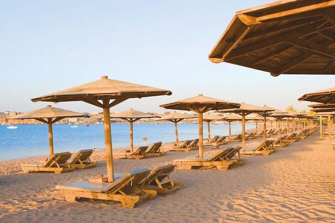 Day-Tour to the Red Sea from Cairo - Final Thoughts: Who Would Enjoy This Tour?