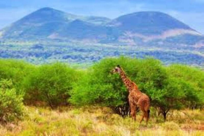 Day Tour to Tsavo East National Park - Key Points