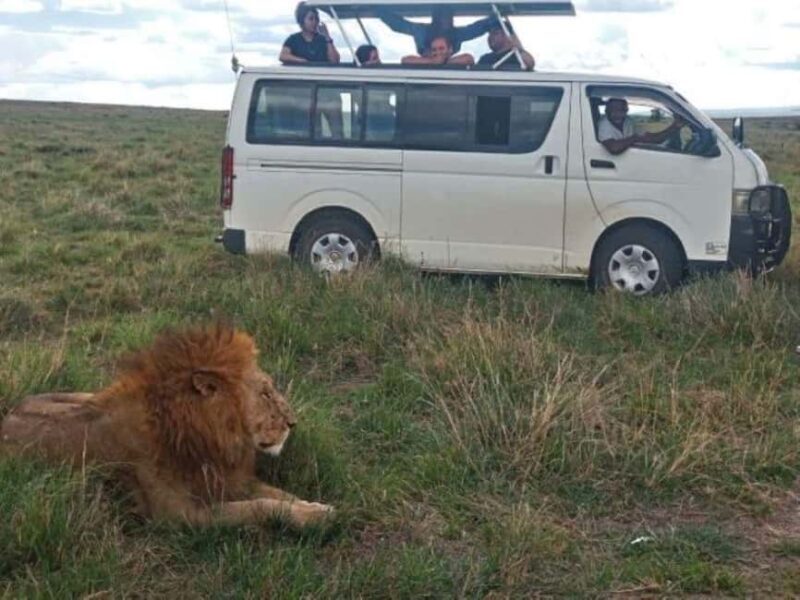 Day Tour to Tsavo East National Park - Who Would Love This?
