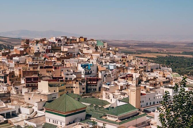 Day Tour to Volubilis & Meknes from Fes - Authentic Experiences and Tips
