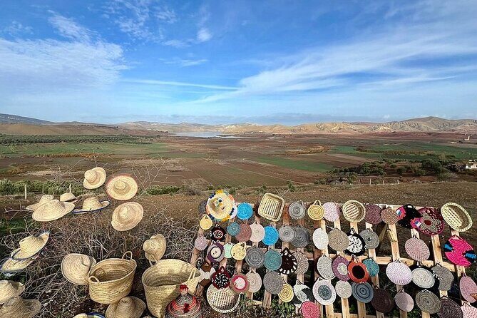 Day Tour to Volubilis & Meknes from Fes - Who This Tour Is Best For