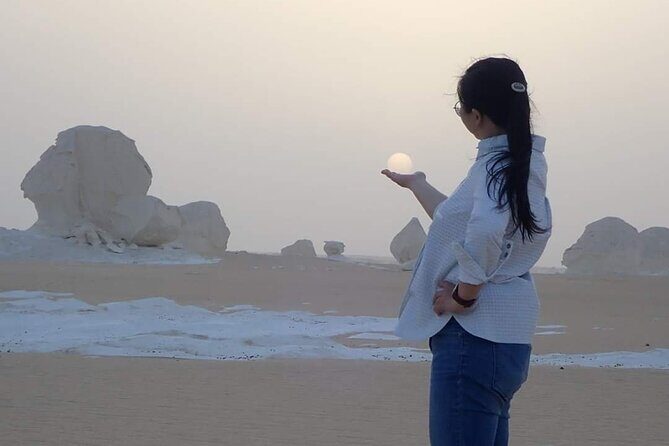 Day tour to White & Black Desert and Bahariya Oasis Tours - Who Should Consider This Tour?