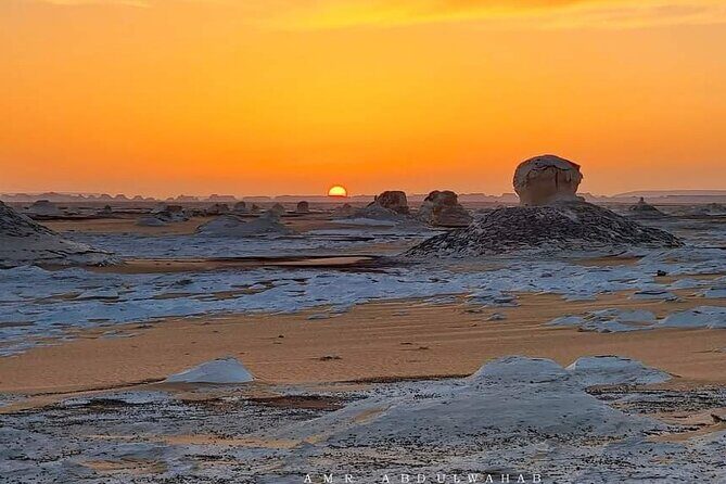 Day tour to White Desert and Bahariya Oasis Tour - The Itinerary: What You Can Expect