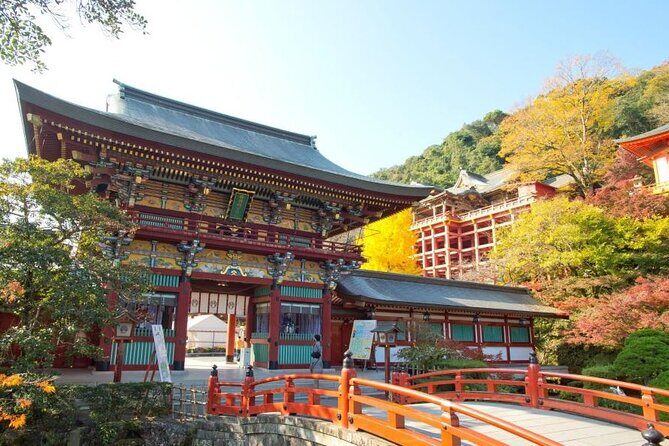 Day Tour to Yutoku Inari Shrine & Sachihime Sake Brewery| Fukuoka - An Overview of the Tour Experience