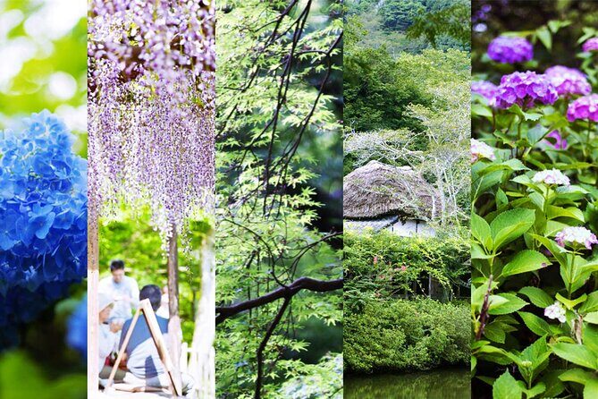 Day Tour to Yutoku Inari Shrine & Sachihime Sake Brewery| Fukuoka - Who This Tour Is Best For