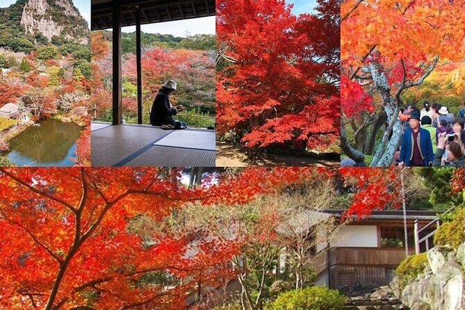 Day Tour to Yutoku Inari Shrine & Sachihime Sake Brewery| Fukuoka - Final Thoughts