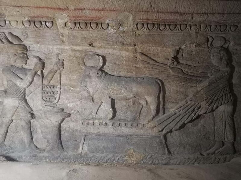 Day tour Visit the top attractions of Alexandria City - Frequently Asked Questions
