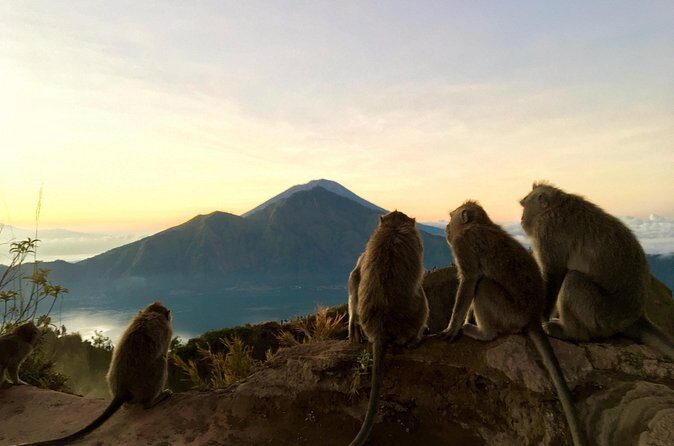 Day Trekking Mount Batur - Start From 06:00am - Final Words