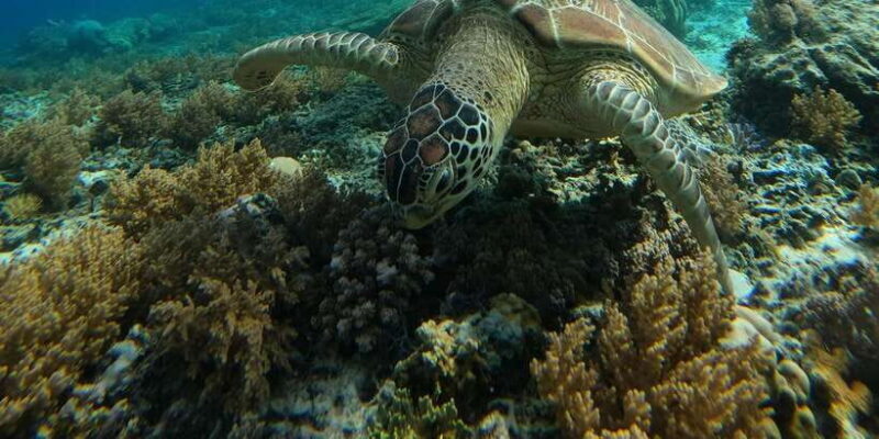 Day Trip 5 Secret Giilis in West South of Lombok - Who Will Love This Tour?