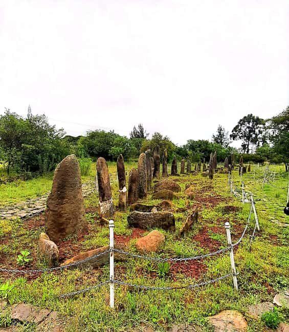 Day trip Adadi Mariam, Melka Kunture and Tiya stele - What to Expect from the Tour