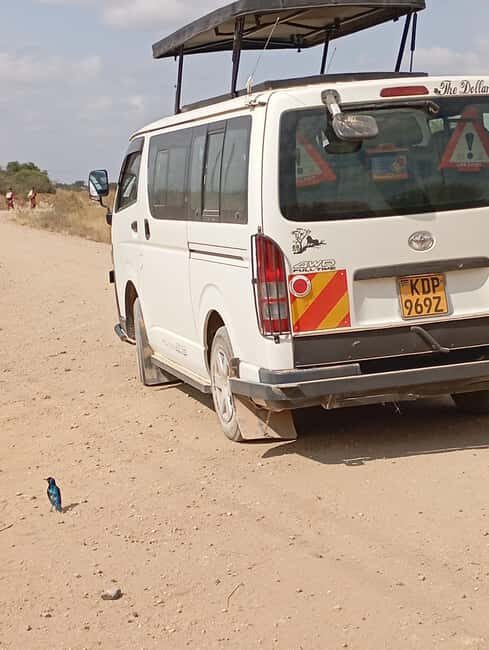 DAY TRIP AMBOSELI NATIONAL PARK FROM NAIROBI BUDGET SAFARI - Key Points