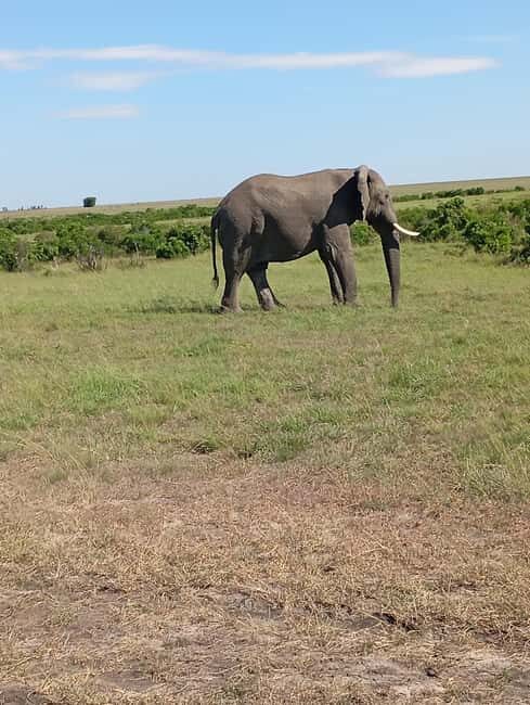 DAY TRIP AMBOSELI NATIONAL PARK FROM NAIROBI BUDGET SAFARI - Introduction to the Amboseli Experience