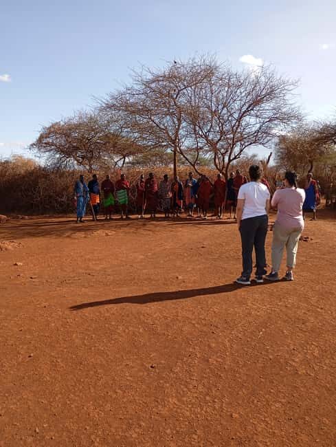 DAY TRIP AMBOSELI NATIONAL PARK FROM NAIROBI BUDGET SAFARI - Final Thoughts: Who Is This Tour Best For?