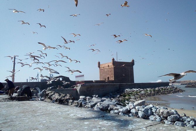 Day Trip and Excursion to Essaouira - Exploring Essaouira in a Day: A Practical & Authentic Tour Review