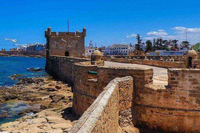 Day Trip and Excursion to Essaouira - Who Is This Tour Best Suited For?