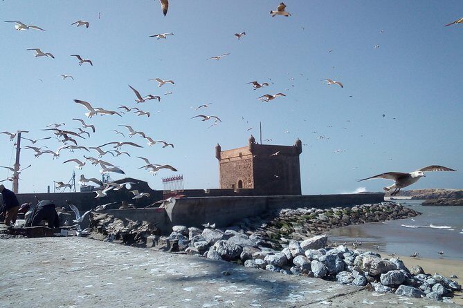 Day Trip and Excursion to Essaouira - Final Thoughts