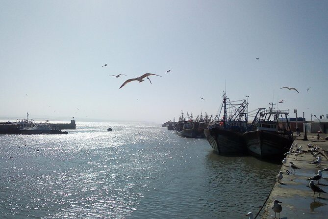 Day Trip and Excursion to Essaouira - Frequently Asked Questions