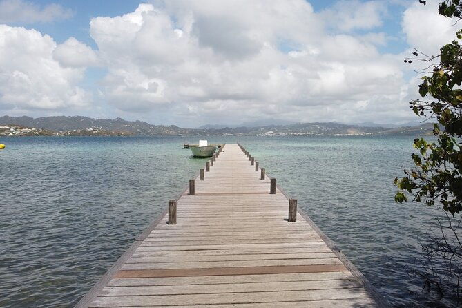 day-trip-at-sea-to-the-fonds-blancs-martinique-windward-coast