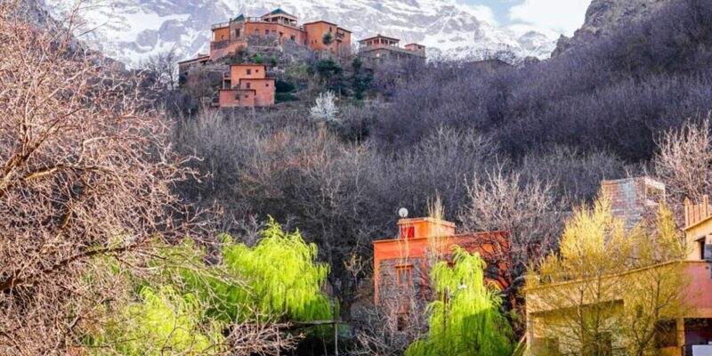 Day Trip Atlas Mountains and Berber Villages with Waterfalls - Authentic Experiences Based on Real Opinions