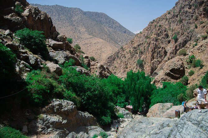 Day trip - Atlas Mountains Ourika Valley Waterfall From Marrakech - Tips for Making the Most of Your Day Trip
