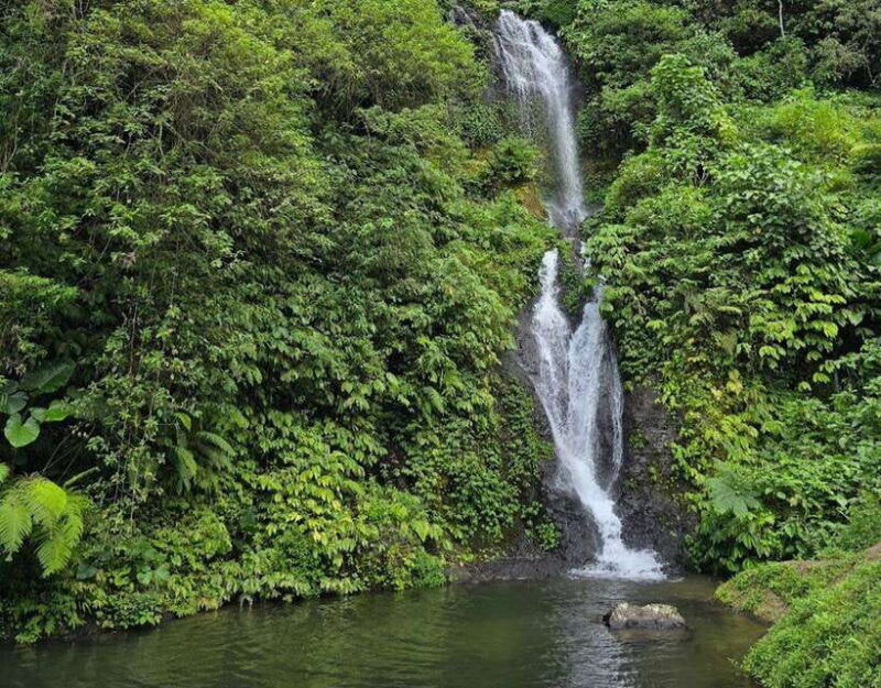 day-trip-bali-ulundanuhandara-gatebanyumala-waterfalls