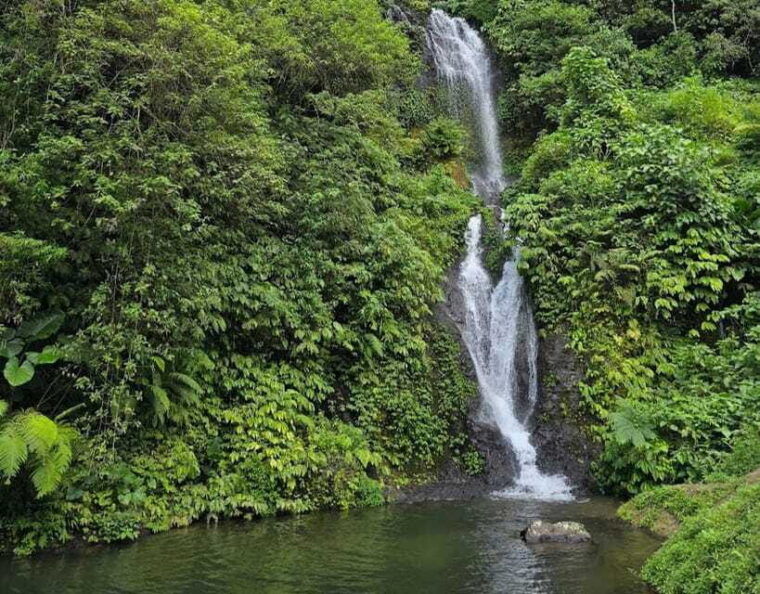 day-trip-bali-ulundanuhandara-gatebanyumala-waterfalls