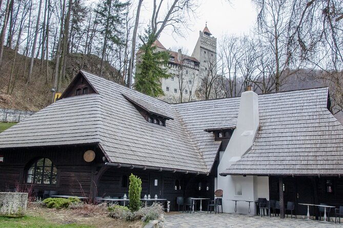 day-trip-bear-sanctuary-bran-castle-rasnov-fortress-from-brasov