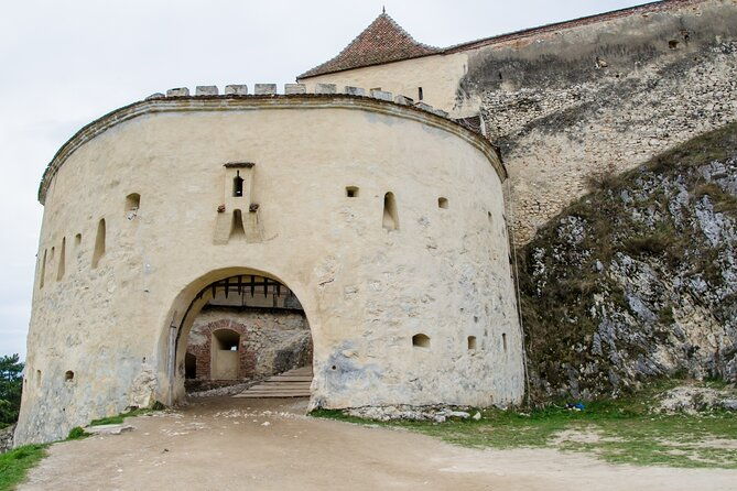 day-trip-bear-sanctuary-bran-castle-rasnov-fortress-from-brasov