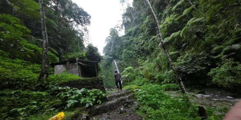 day-trip-bogor-jakarta-waterfall-all-in-tour-guide