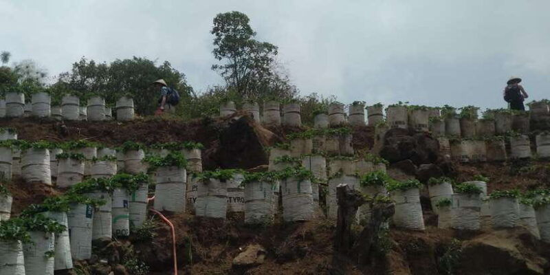 day-trip-bogor-jakarta-waterfall-all-in-tour-guide