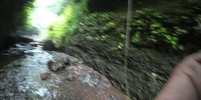 day-trip-bogor-jakarta-waterfall-all-in-tour-guide
