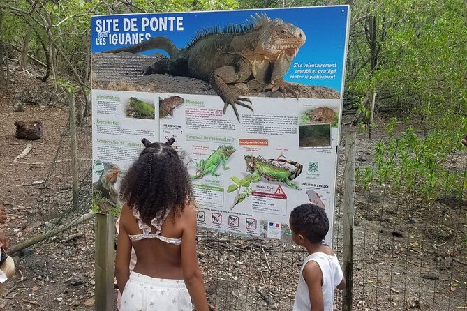 day-trip-by-boat-from-le-robert