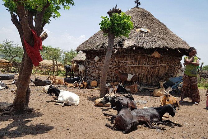 Day-Trip Church of Adadi Mariam from Addis Ababa - Frequently Asked Questions