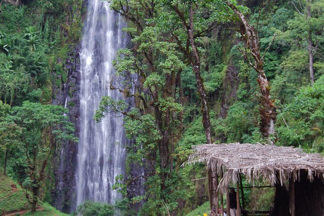 Day Trip Coffee Tour and Materuni Waterfalls - Discovering Tanzania’s Authentic Side: The Itinerary Breakdown