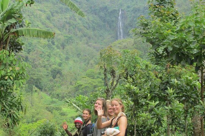 Day Trip Coffee Tour and Materuni Waterfalls - Summary