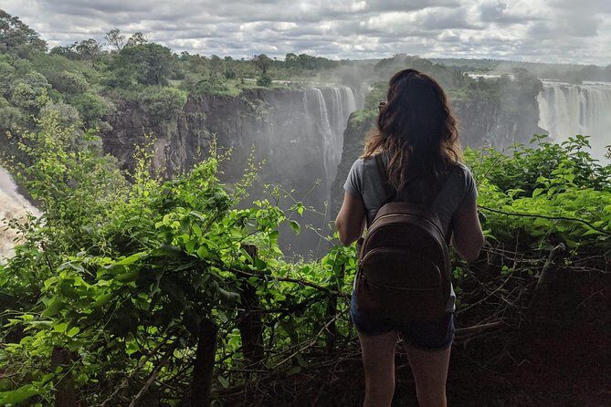 Day Trip: Discover Victoria Falls Zimbabwe From Livingstone, Zambia - An In-Depth Look at the Tour Experience