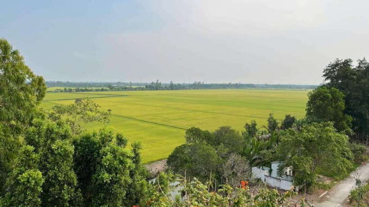 day-trip-floating-market-mua-xuan-forest-half-day-tour
