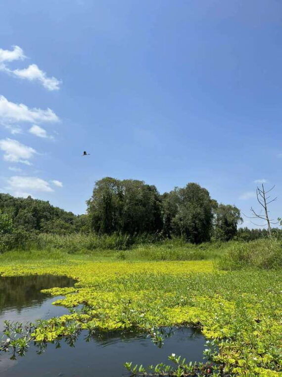 day-trip-floating-market-mua-xuan-forest-half-day-tour