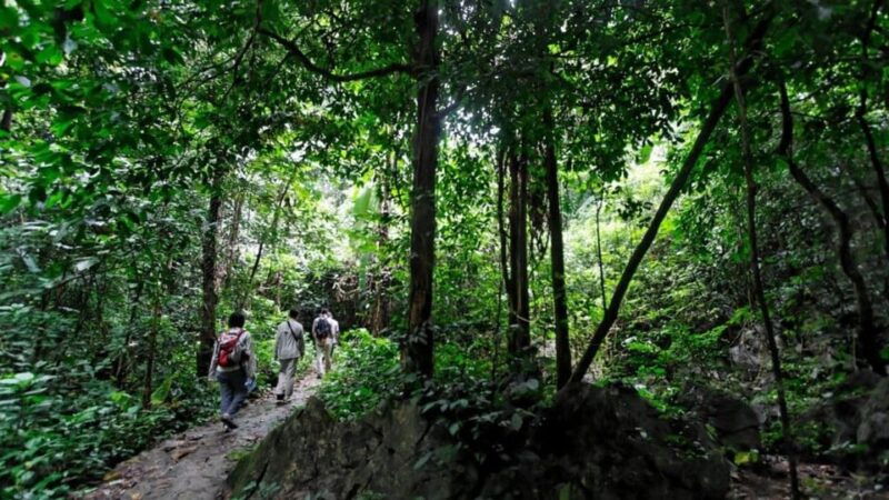 day-trip-for-a-group-to-cuc-phuong-national-park