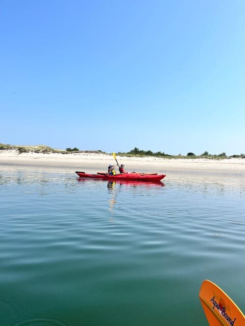 Day Trip from Boston: Guided Kayak at the Crane Estate - The Experience of Guides and Group Size