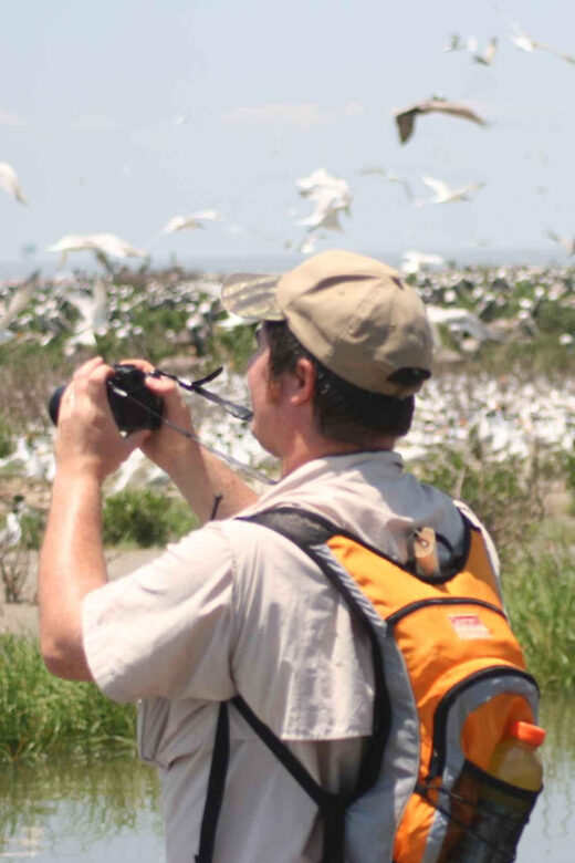 Day Trip from Boston: Guided Nature Walk at Crane Estate - Who Is This Tour Best For?
