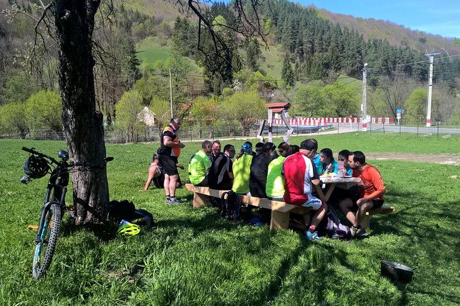 day-trip-from-brasov-bison-reserve-traditional-lunch