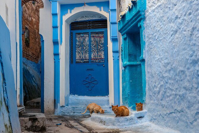Day Trip From Fes to Chefchaouen - The Sum Up: Is This Tour Worth It?