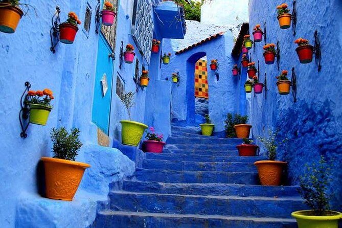Day Trip from Fes to Chefchaouen - Authenticity & Insights from Reviews
