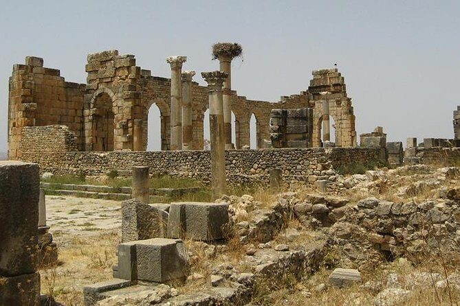 Day trip from Fes to Volubilis Moulay Idriss & Meknes - Practical Details and Considerations